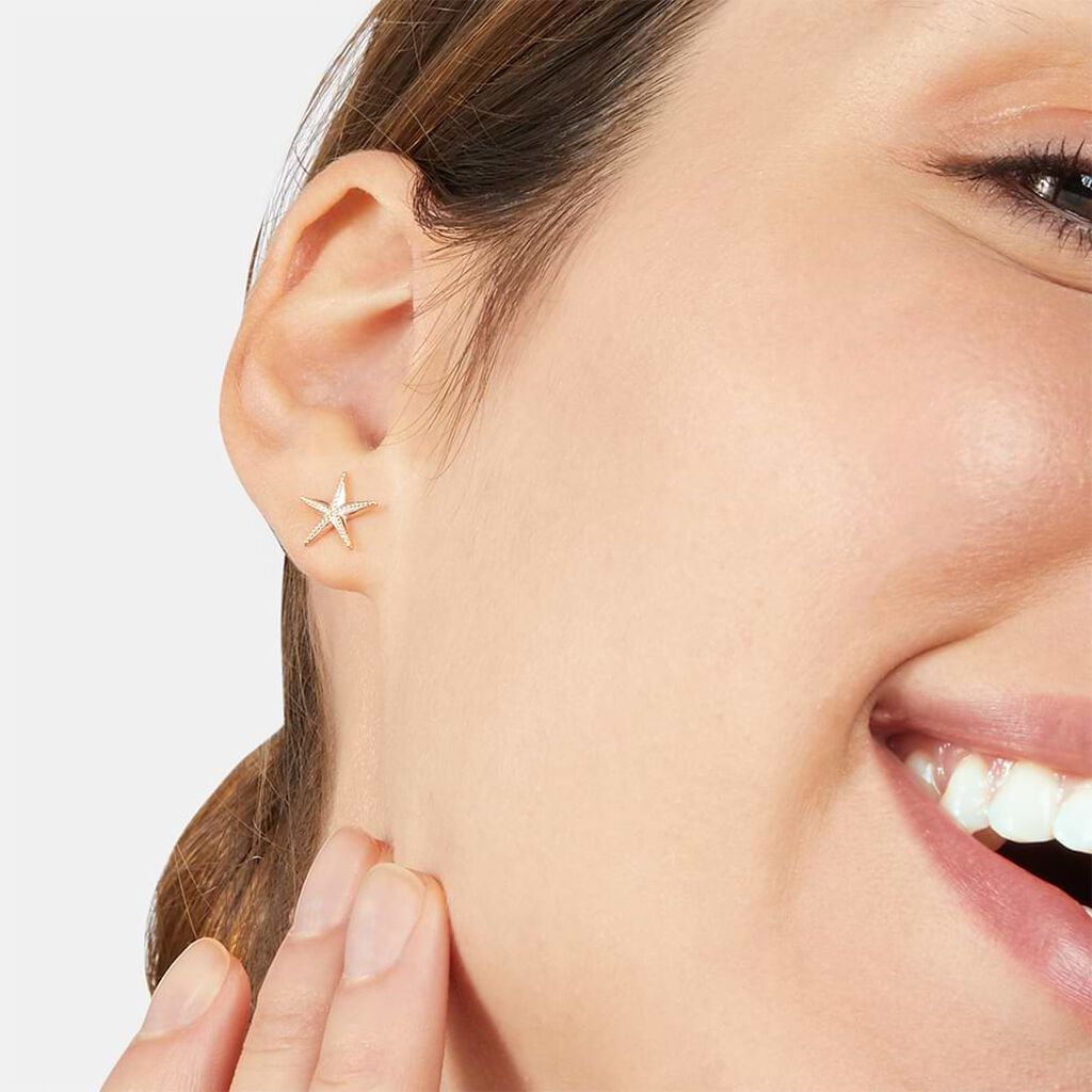 Orecchini Lobo Silver Collection Argento Rosa - Orecchini a Lobo Donna | Stroili