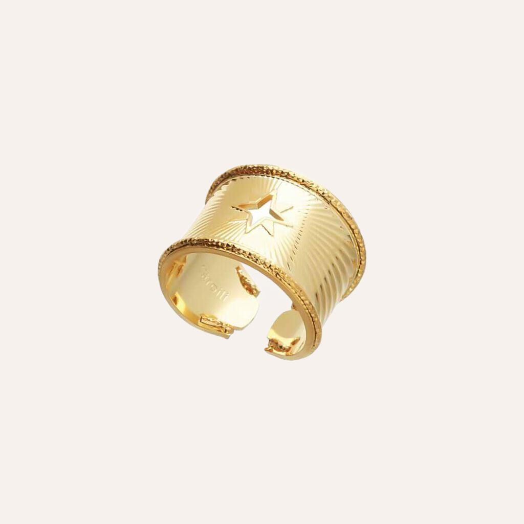 Anello rosa dei venti a fascia in bronzo dorato