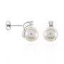 Orecchini Lobo Silver Pearls Argento Rodiato Perla sintentica Cubic Zirconia