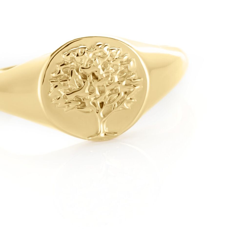 Anello Golden Dream Placcato Oro Giallo