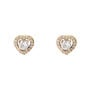 Orecchini Lobo Golden Dream Placcato Oro Giallo Cubic Zirconia