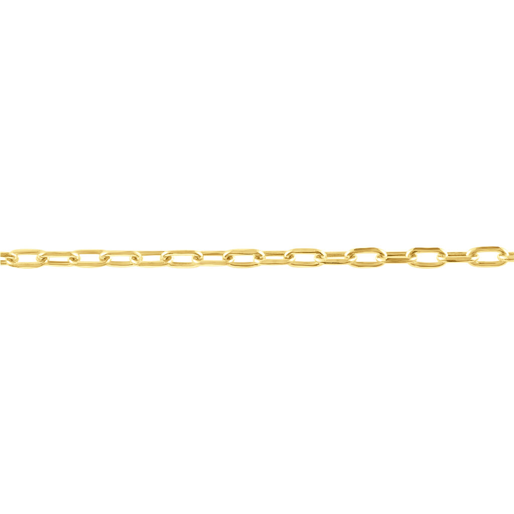 Catena L'homme Or Oro Giallo - Collane Catena Uomo | Stroili