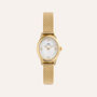 Orologio Al Quarzo Daniel Wellington Ophelia Mini Dw00100939