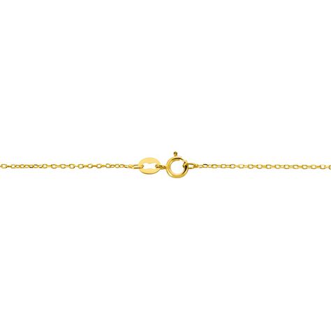 1,1mm Catena Ancora Collier Collana IN 375 Oro 40cm 4053642838629 1,1mm Catena Ancora Collier Collana IN 375 Oro 40cm 4053642838629