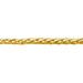 Catena Colette Oro Giallo - Collane Catena Donna | Stroili