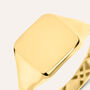 Anello Chevalier Oro Uomo Oro Giallo