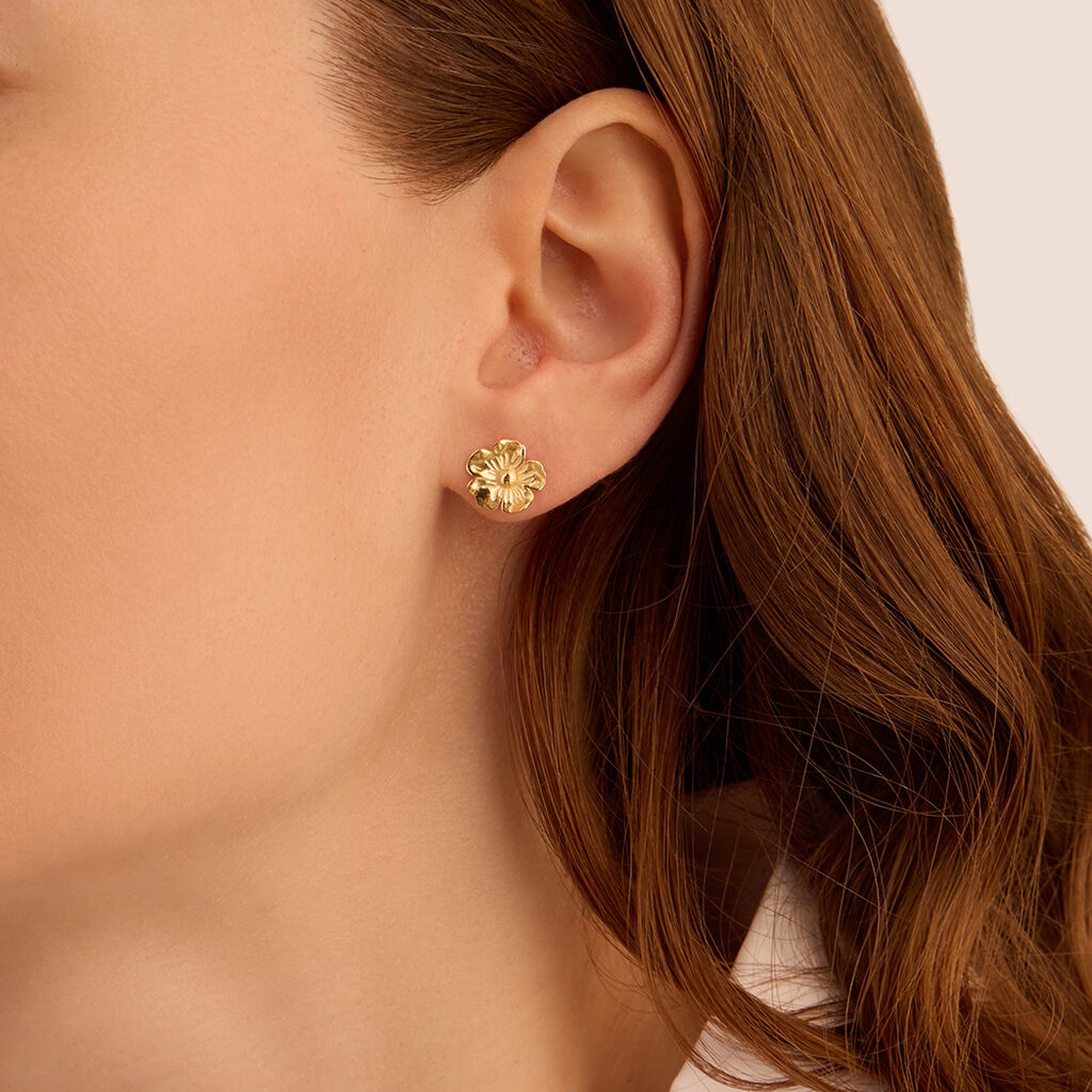Orecchini Lobo Beverly Oro Giallo