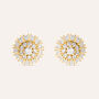 Orecchini Lobo Aura Acciaio Dorato Cubic Zirconia