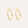 Orecchini A Cerchio Toujours Oro Giallo