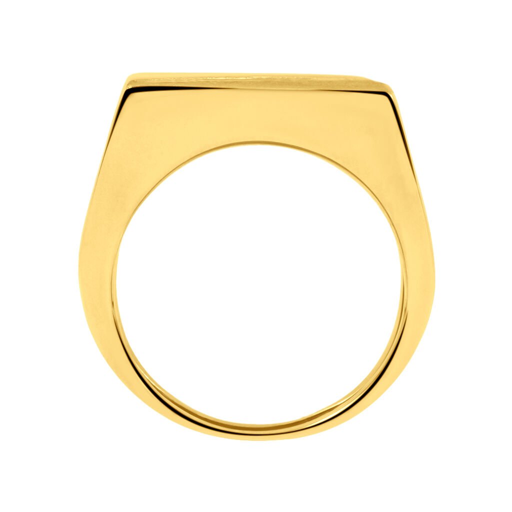 Anello Chevalier Oro Uomo Oro Giallo - Anelli 18 Carati Uomo | Stroili