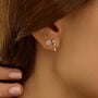 Orecchini Lobo Bon Ton Oro Giallo Cubic Zirconia