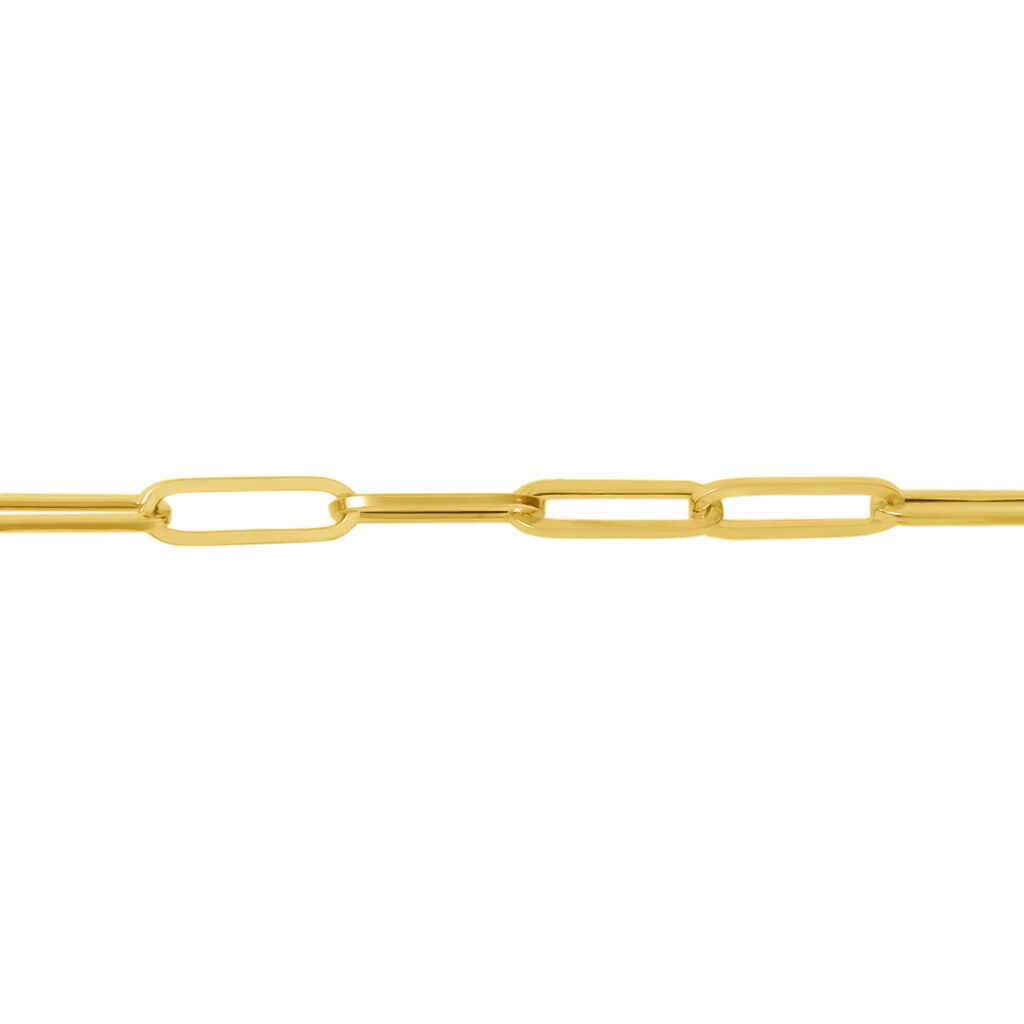 Catena Colette Oro Giallo - Collane Catena Donna | Stroili