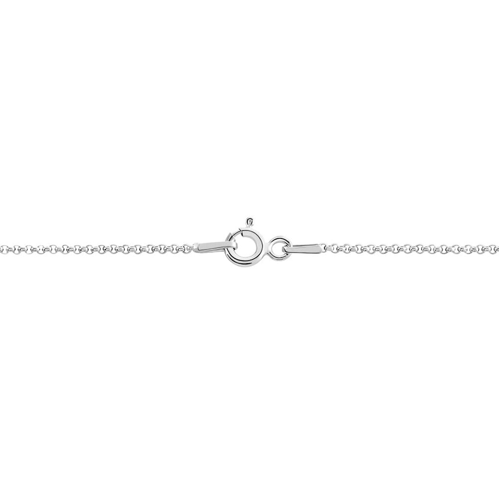 Catenina Silver Collection Argento Rodiato
