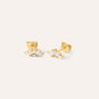 Orecchini Lobo Silver Glow Argento Dorato Cubic Zirconia