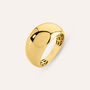 Anello Fascia Desideria Argento Nobile Dorato