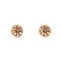 Orecchini Lobo Punto Luce Silver Rainbow Argento Rosa Cubic Zirconia