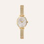Orologio Al Quarzo Alviero Martini Symi Ac00930010201b01