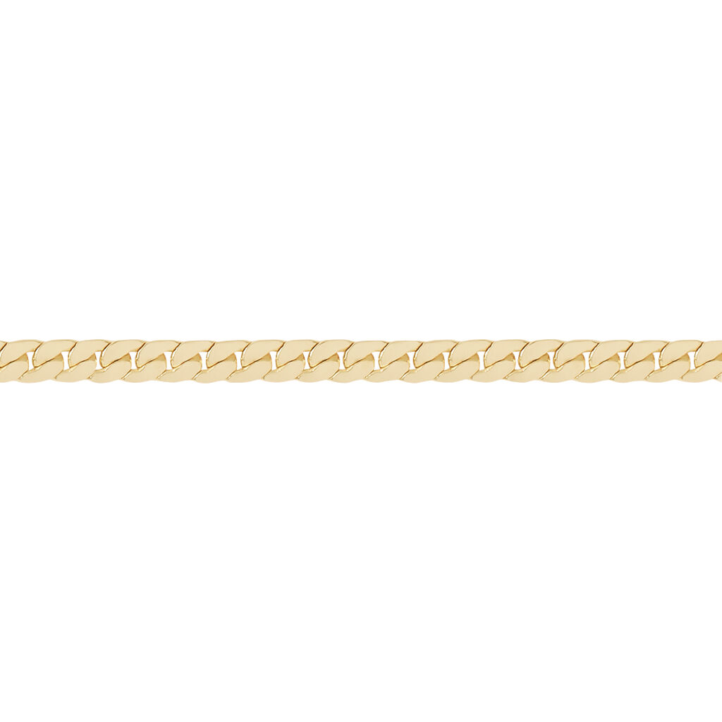 Catena Golden Dream Placcato Oro Giallo - Collane Catena Donna | Stroili
