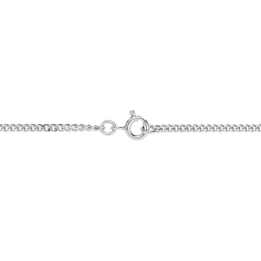 Catena Silver Collection Argento Rodiato - Collane Catena Donna | Stroili