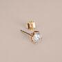 Orecchini Lobo Punto Luce Golden Dream Placcato Oro Giallo Cubic Zirconia