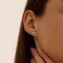 Orecchini Lobo Bon Ton Oro Giallo Cubic Zirconia