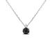 Collana Punto Luce Silver Elegance Argento Rodiato Cubic Zirconia - Collane Punto Luce Donna | Stroili