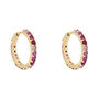 Orecchini A Cerchio Golden Dream Placcato Oro Giallo Cubic Zirconia