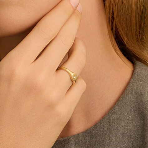 Anello Chevalier Beverly Oro Giallo Cubic Zirconia - Anelli Chevalier Donna | Stroili