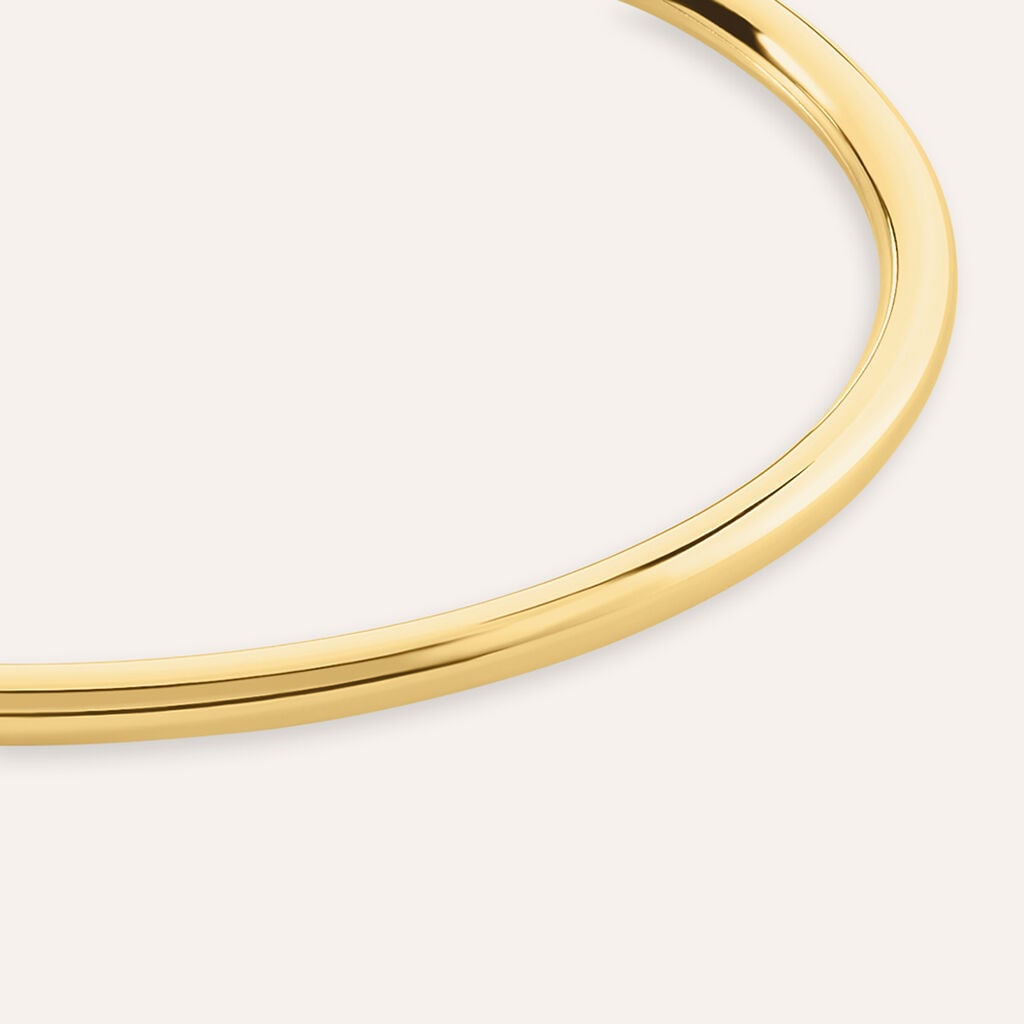 Bangle Silver Collection Argento Dorato