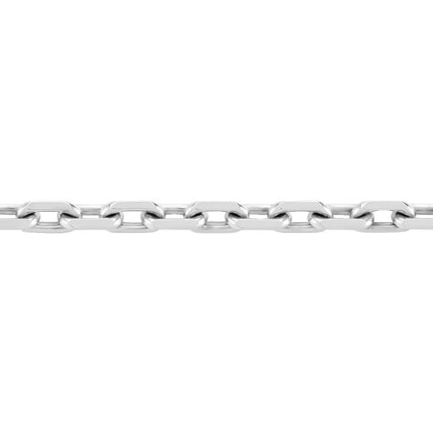 Catena Gentleman Argento Rodiato - Collane Catena Uomo | Stroili