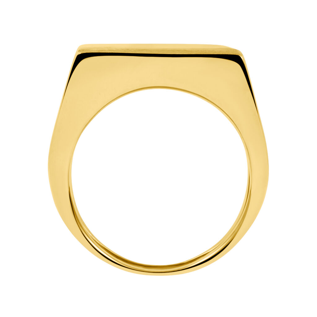 Anello Fantasia L'homme Or Oro Giallo - Anelli Uomo | Stroili