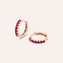 Orecchini A Cerchio Silver Rainbow Argento Rosa Cubic Zirconia