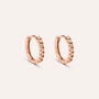 Orecchini A Cerchio Silver Rainbow Argento Rosa Cubic Zirconia