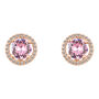 Orecchini Lobo Punto Luce Silver Rainbow Argento Rosa Cubic Zirconia