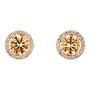 Orecchini Lobo Punto Luce Silver Rainbow Argento Rosa Cubic Zirconia