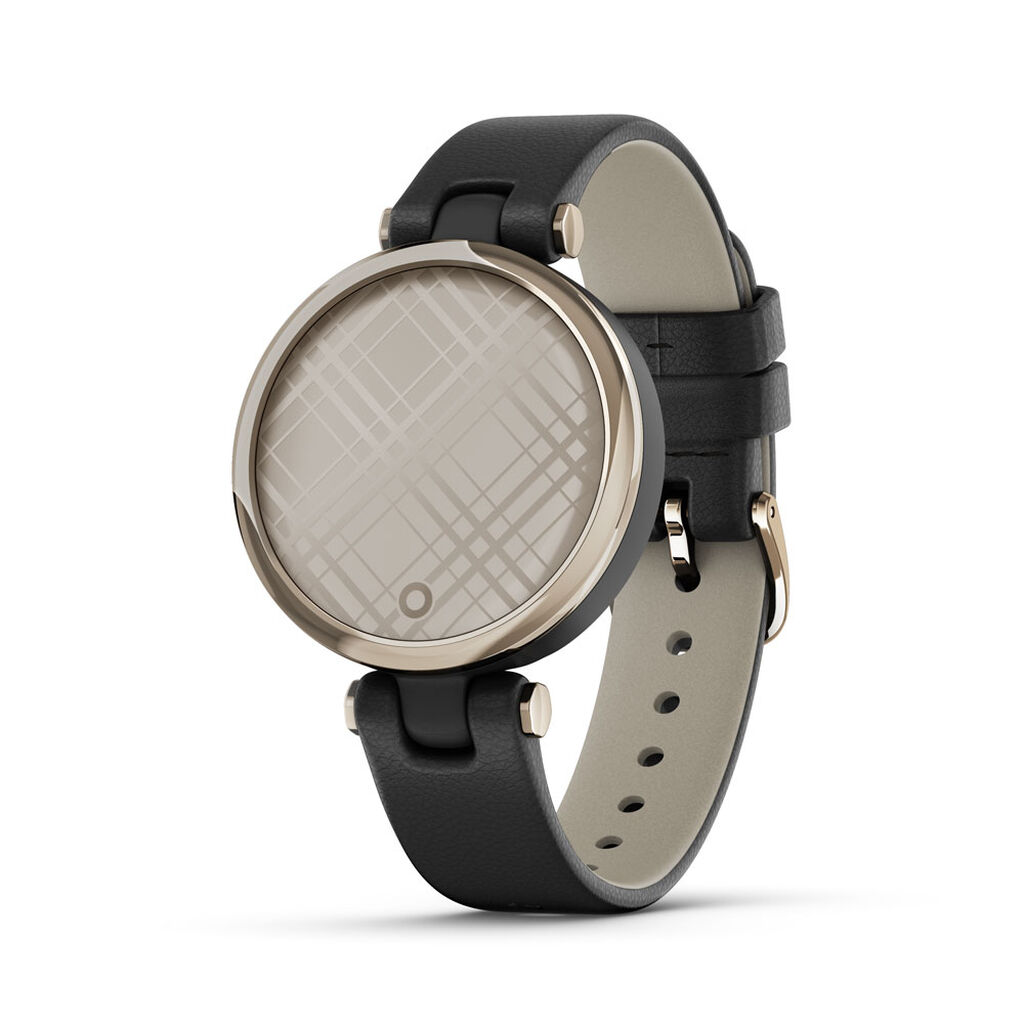 Smartwatch Garmin Classic Edition 010-02384-b1