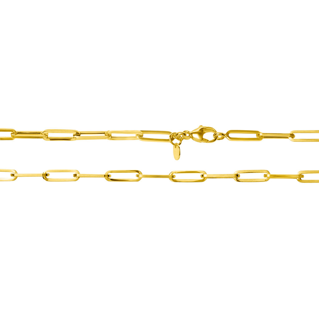 Catena Colette Oro Giallo - Collane Catena Donna | Stroili