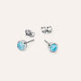 Orecchini Lobo Punto Luce Silver Rainbow Argento Rodiato Cubic Zirconia