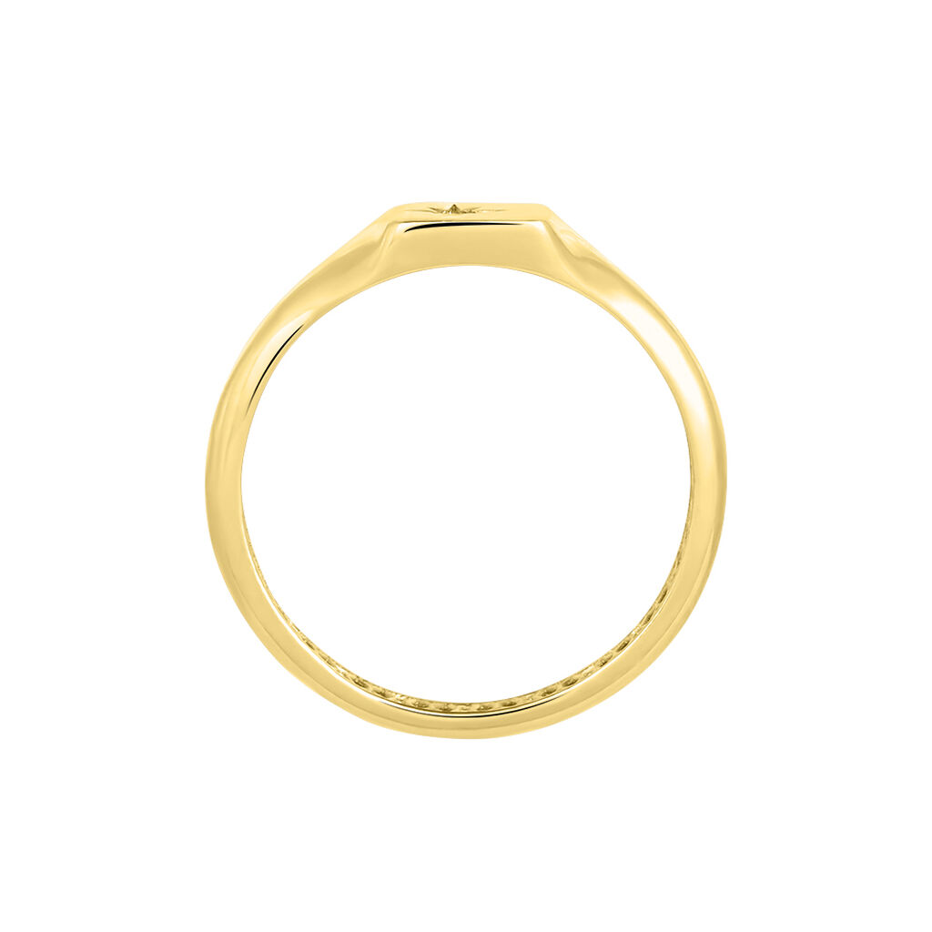 Anello Chevalier Beverly Oro Giallo Cubic Zirconia - Anelli Chevalier Donna | Stroili