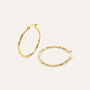 Orecchini A Cerchio Radiance Acciaio Dorato
