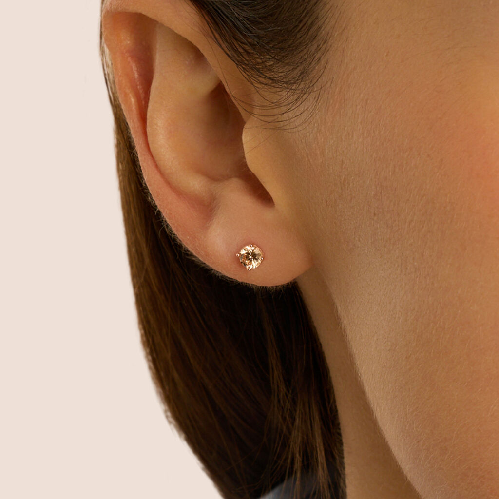 Orecchini Lobo Punto Luce Silver Rainbow Argento Rosa Cubic Zirconia