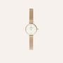 Orologio Al Quarzo Daniel Wellington Petite Mini Dw00100745