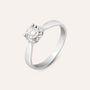 Anello Solitario Diamotion Oro Bianco Diamante