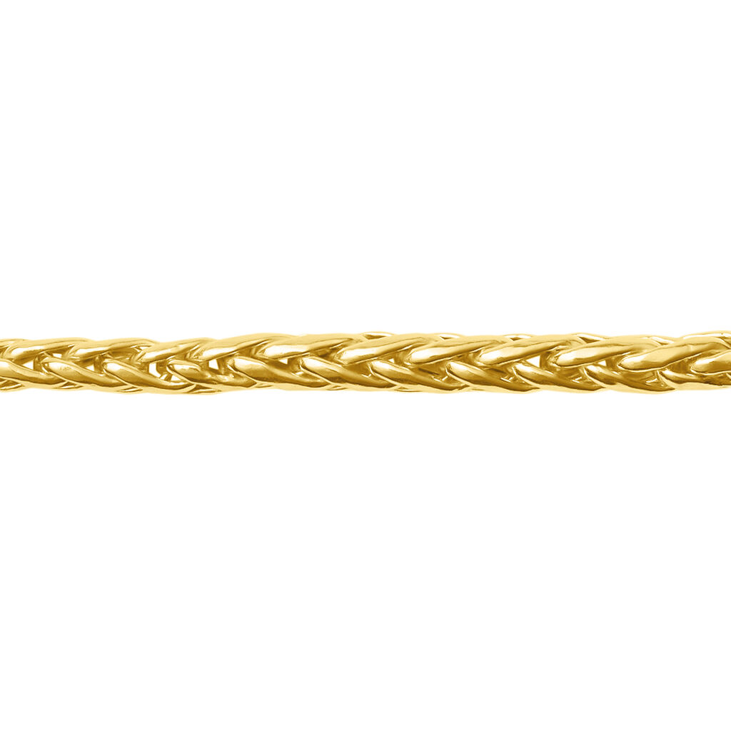 Catena Colette Oro Giallo - Collane Catena Donna | Stroili