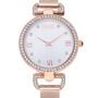 Orologio Al Quarzo Alviero Martini Madagascar Cs.4230l/03m