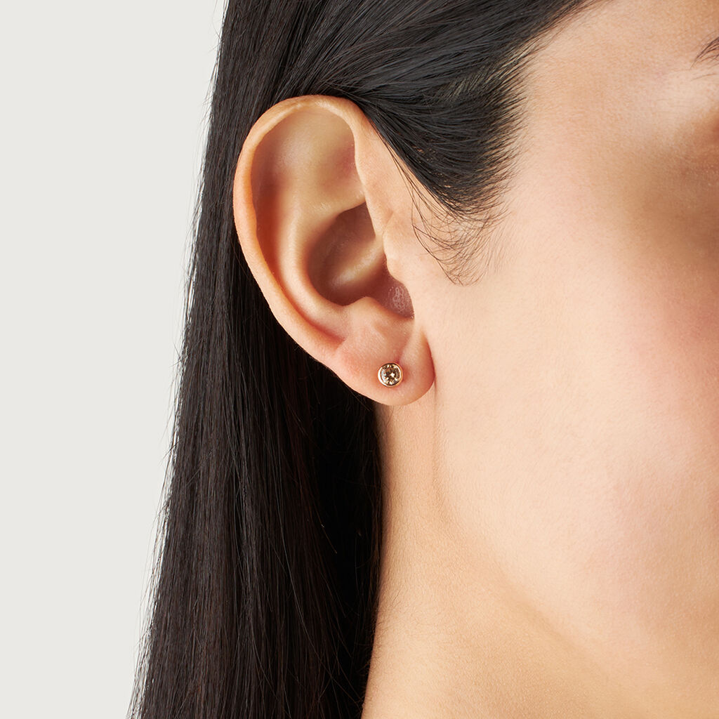 Orecchini Lobo Punto Luce Silver Rainbow Argento Rosa Cubic Zirconia