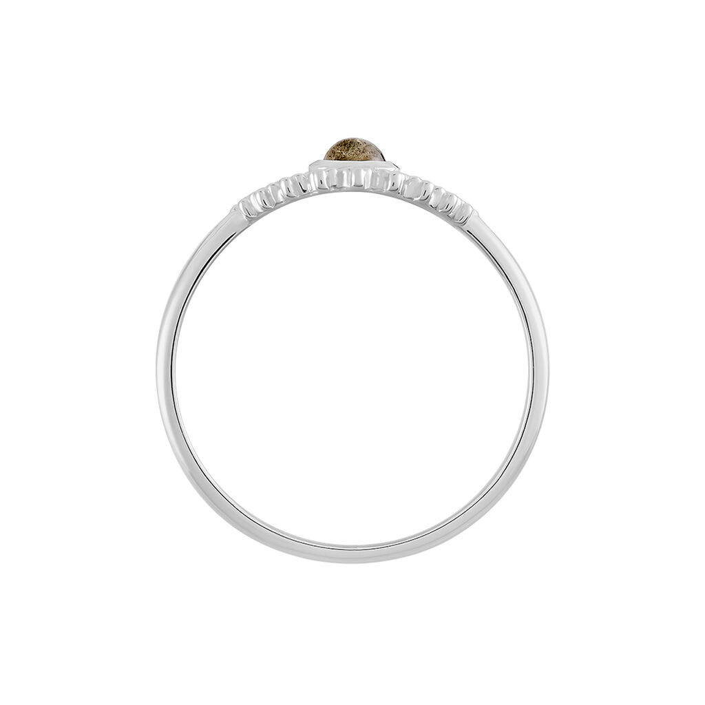 Anello Silver Collection Argento Rodiato Labradorite - Anelli con Pietre Donna | Stroili