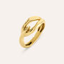 Anello Fantasia Desideria Argento Nobile Dorato