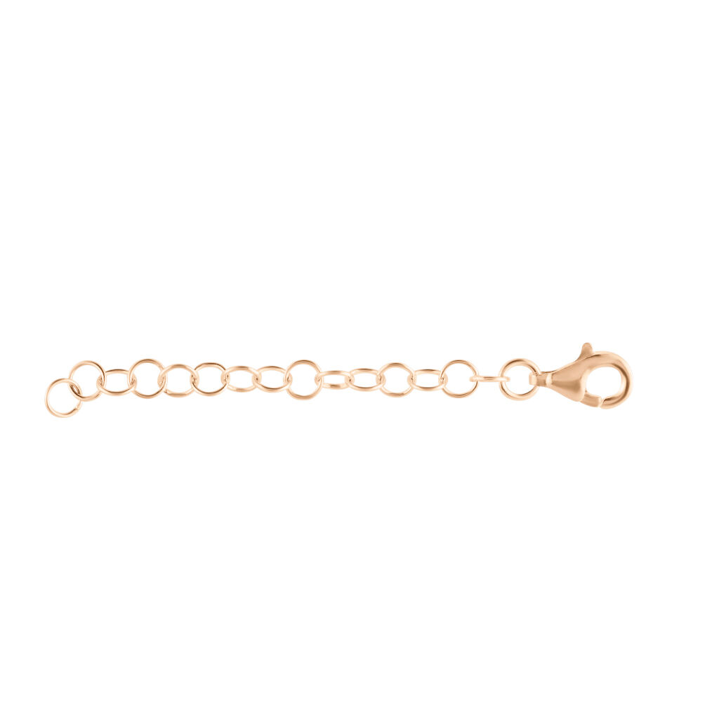Catena Rolo e Moschettone Argento - Servizi & Pulizia Donna | Stroili