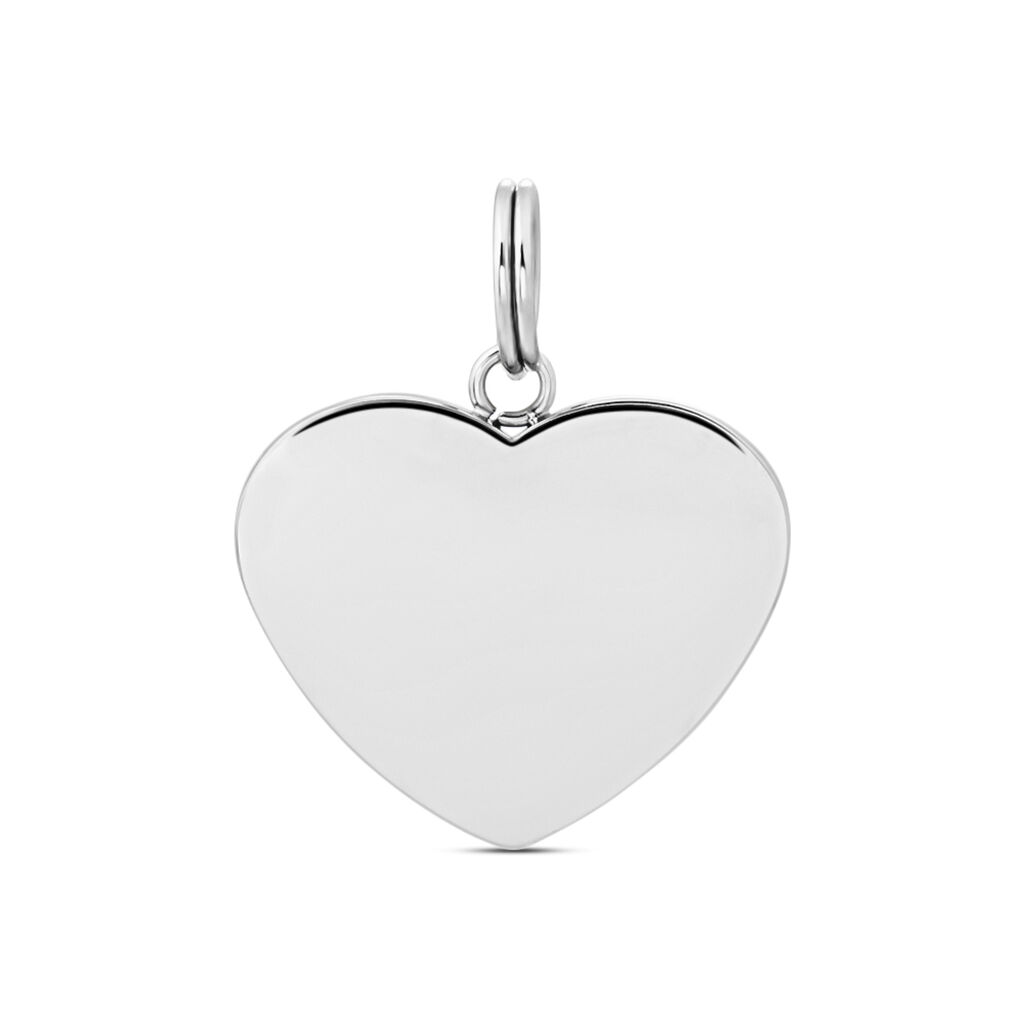 Pendente Pet Tag Acciaio